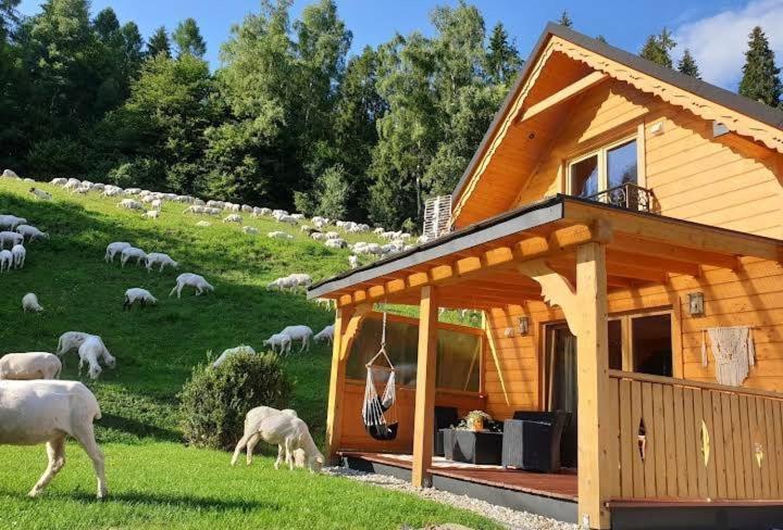 Domek Pod Groniem Mizerna Extérieur photo